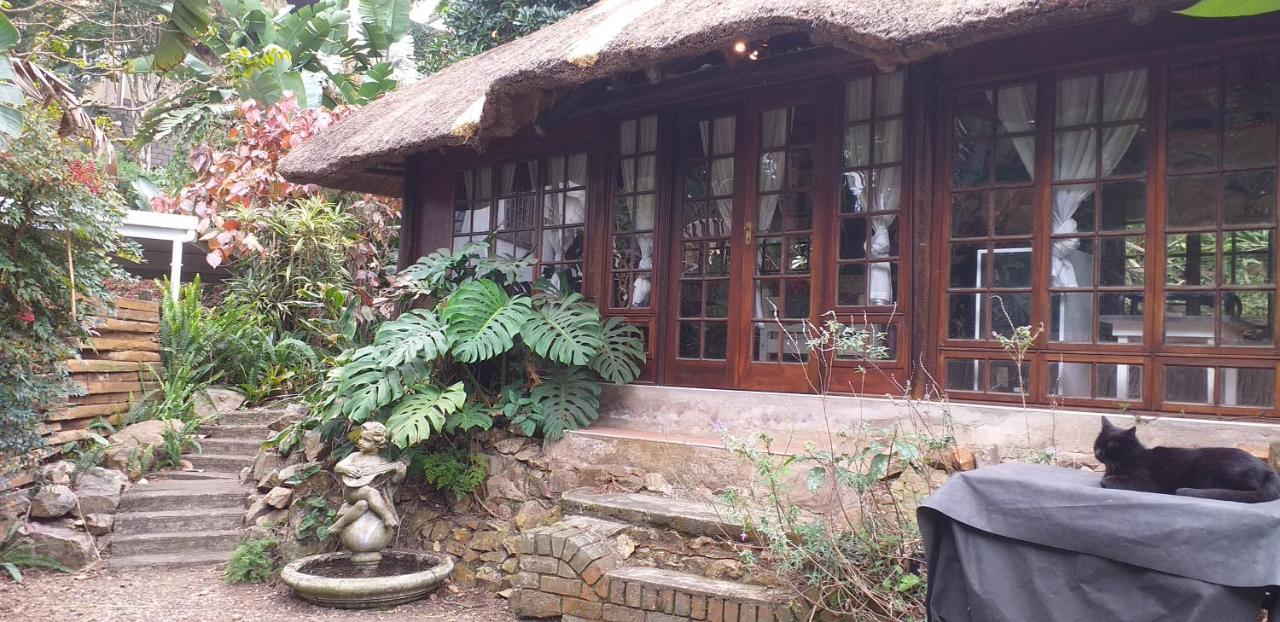 Bed and Breakfast Thrush Nest Durban à Pinetown Extérieur photo