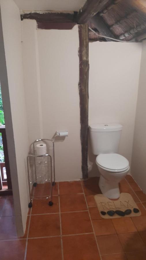 Bed and Breakfast Thrush Nest Durban à Pinetown Extérieur photo