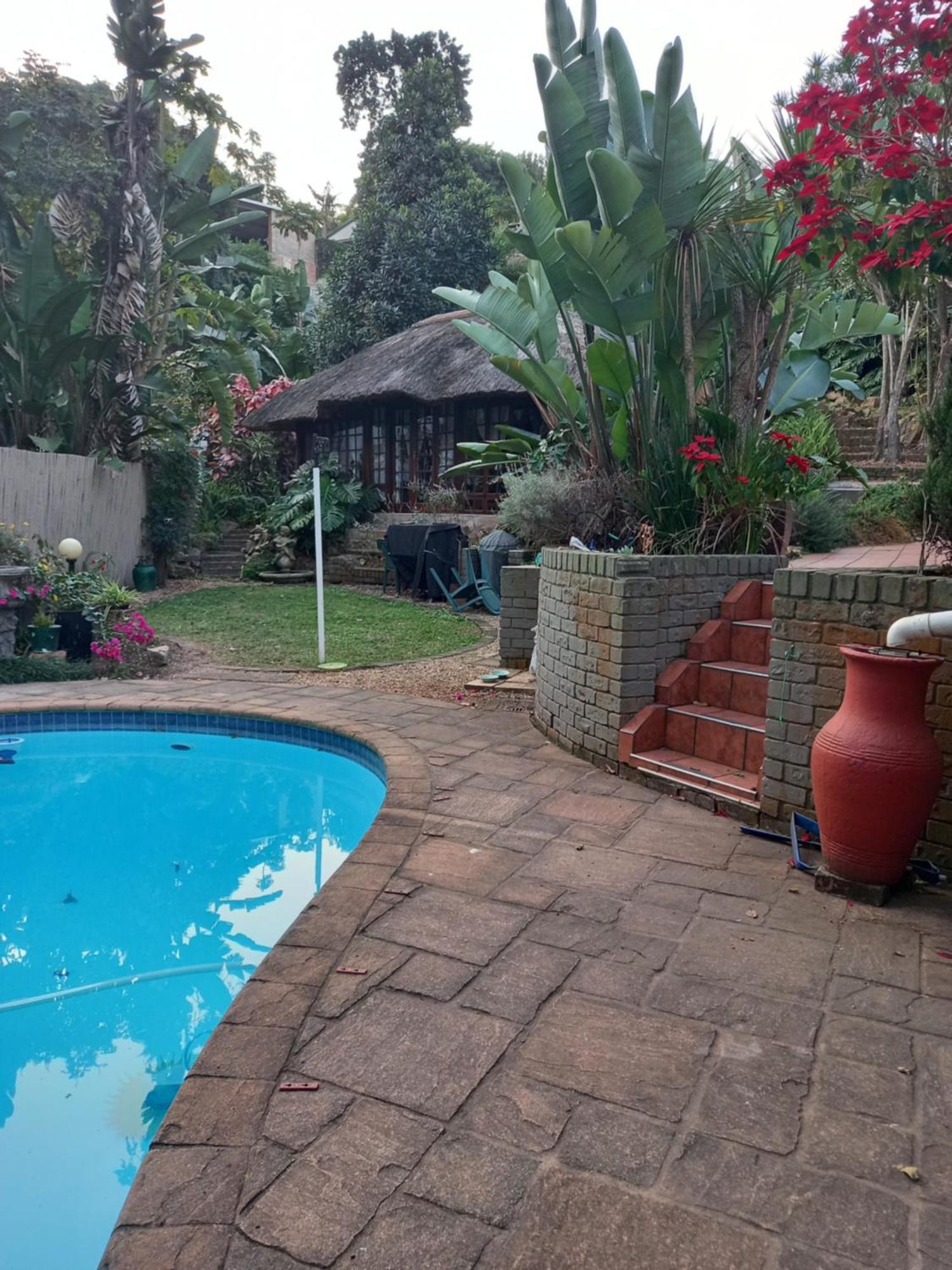 Bed and Breakfast Thrush Nest Durban à Pinetown Extérieur photo